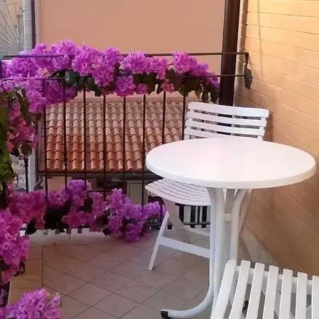Casa de hóspedes Amurri Domenica Grottammare