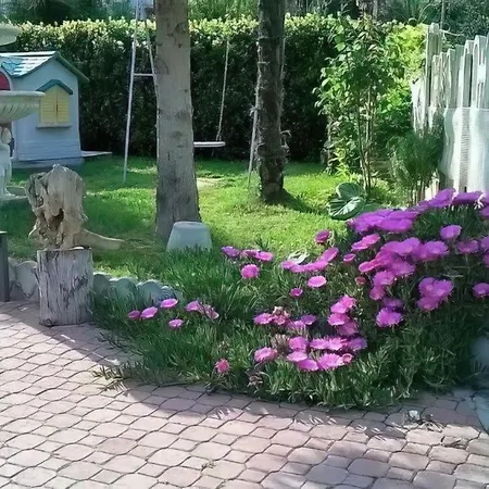 Amurri Domenica Affittacamere *